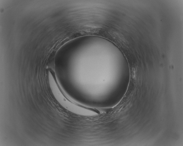 X0000073730915200608171225