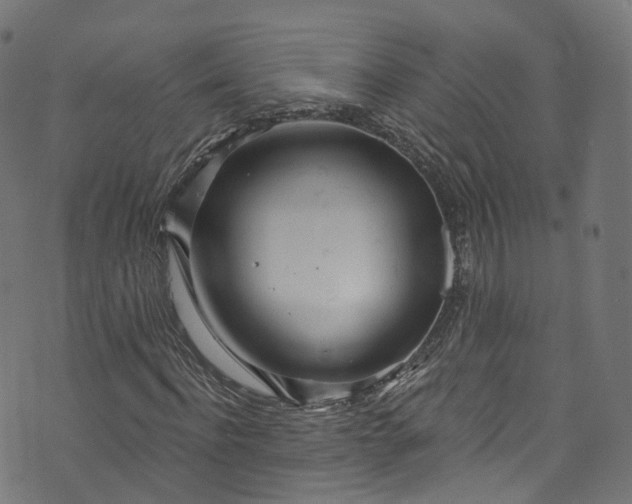 X0000073730916200608171225