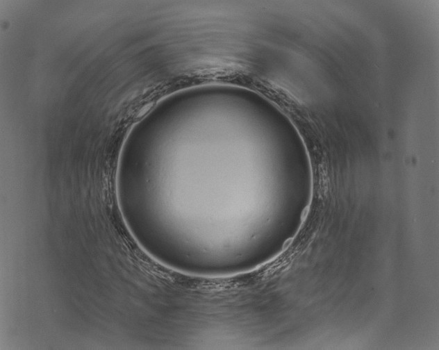 X0000073730917200608171225