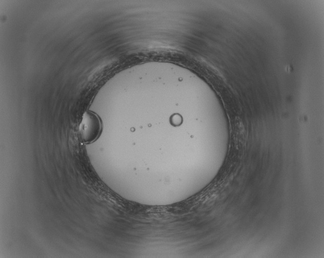 X0000073730918200608171225