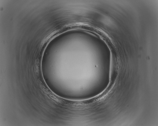 X0000073730921200608171225