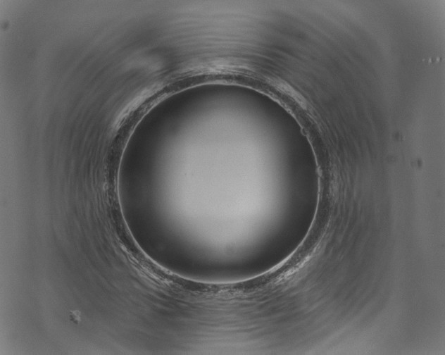 X0000073730922200608171225