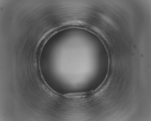 X0000073730923200608171225