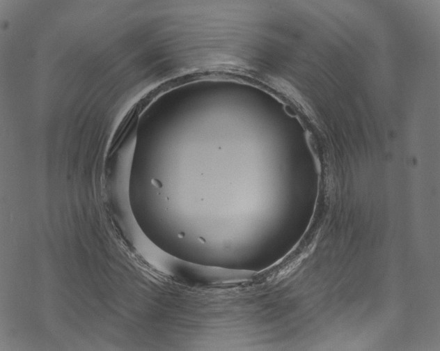 X0000073730924200608171225