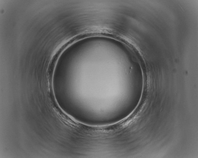 X0000073730925200608171225