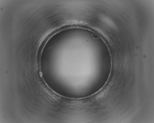 X0000073730927200608171225