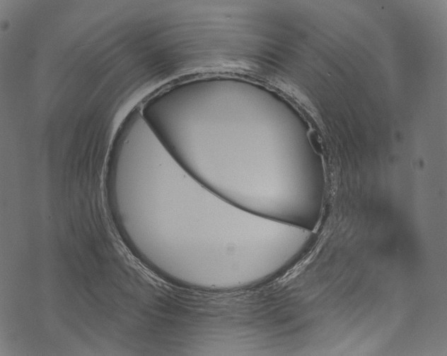 X0000073730928200608171225