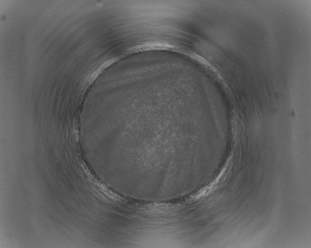 X0000073730929200608171225