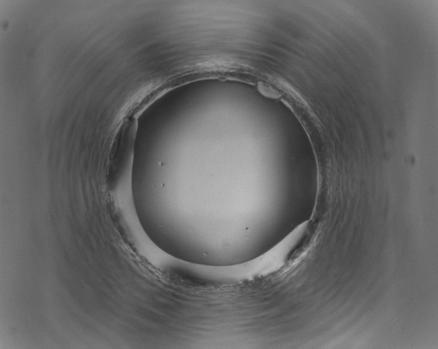 X0000073730930200608171225