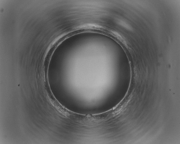 X0000073730931200608171225