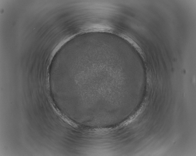 X0000073730933200608171225