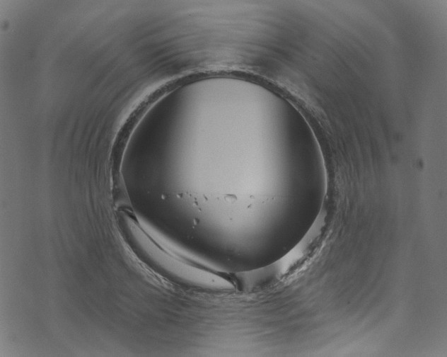 X0000073730934200608171225