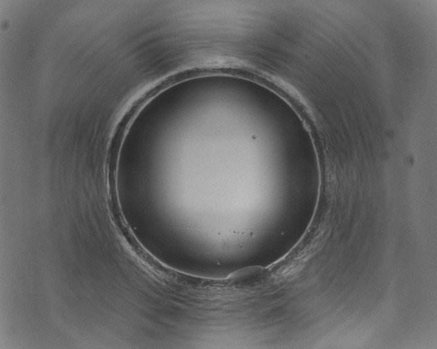 X0000073730935200608171225