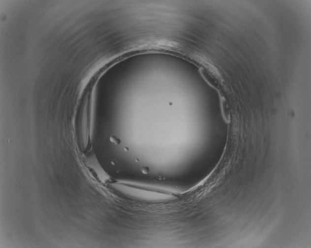 X0000073730936200608171225