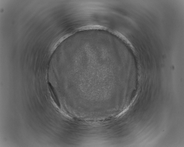 X0000073730937200608171225