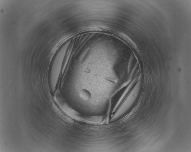 X0000073730938200608171225