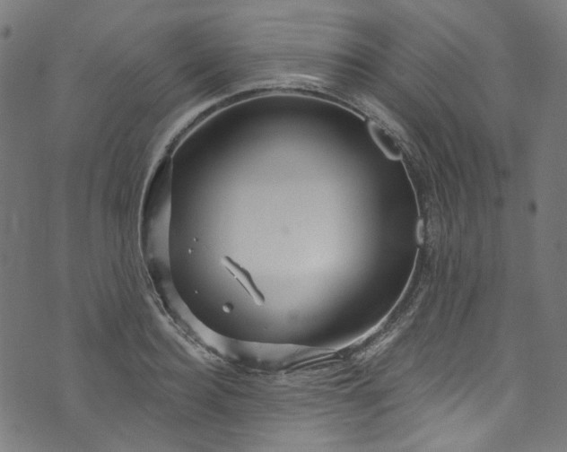 X0000073730940200608171225