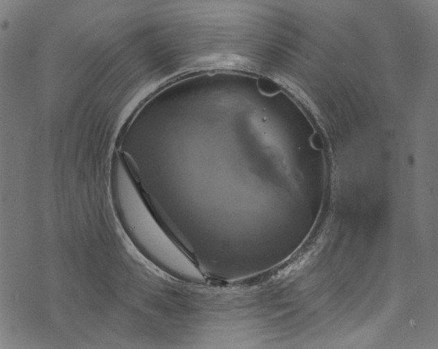 X0000073730941200608171225