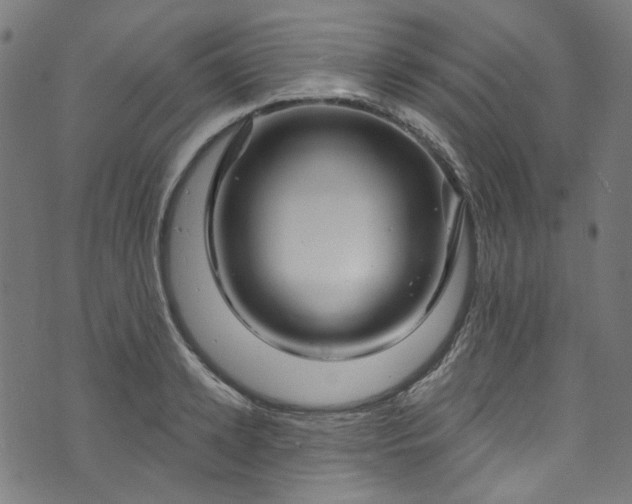 X0000073730942200608171225