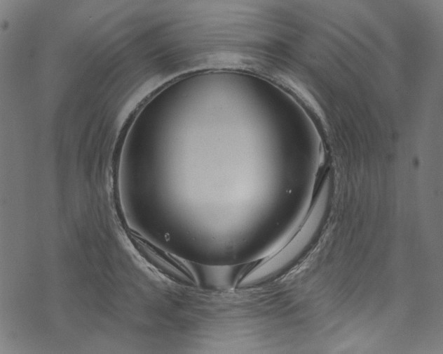 X0000073730944200608171225