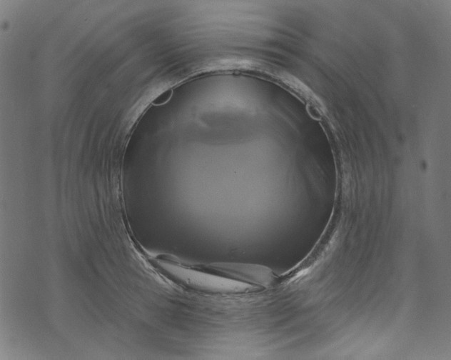 X0000073730945200608171225