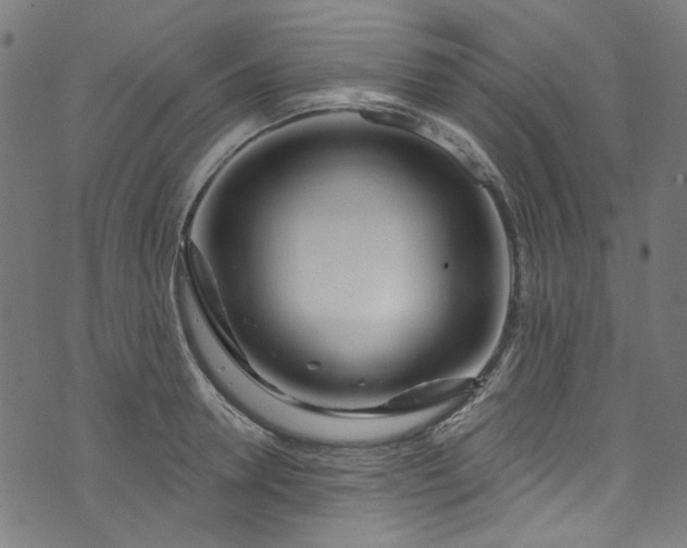 X0000073730946200608171225