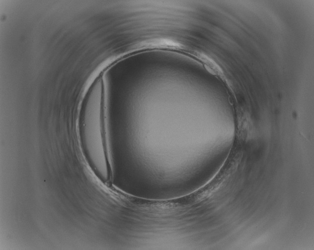 X0000073730947200608171225