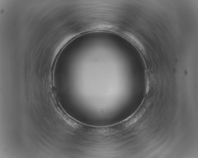 X0000073730948200608171225