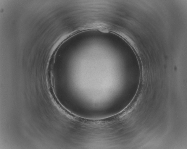 X0000073730949200608171225