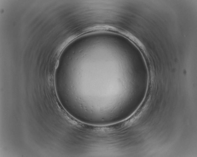 X0000073730953200608171225