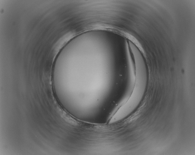 X0000073730954200608171225