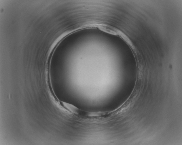 X0000073730955200608171225