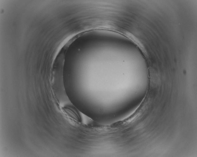 X0000073730956200608171225