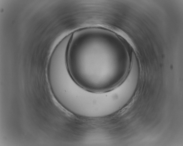 X0000073730958200608171225