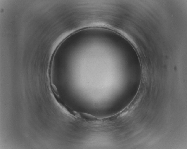 X0000073730959200608171225