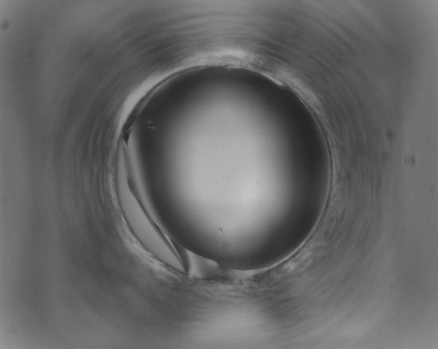 X0000073730960200608171225