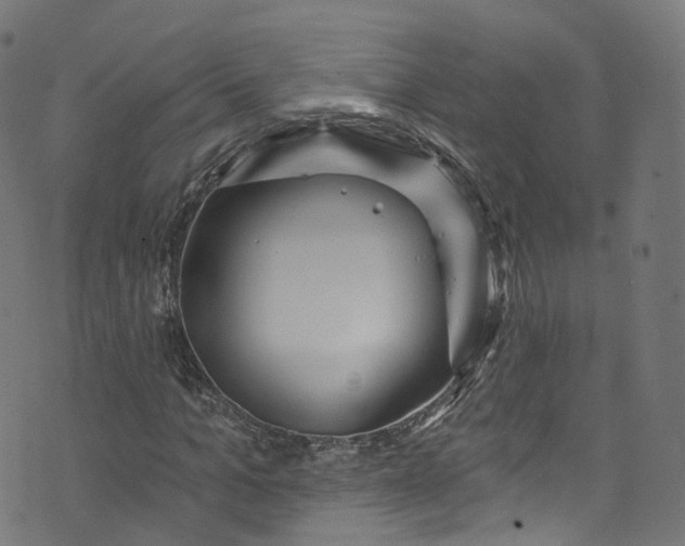 X0000073730965200608171225