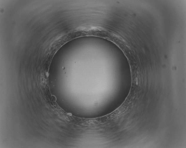 X0000073730966200608171225