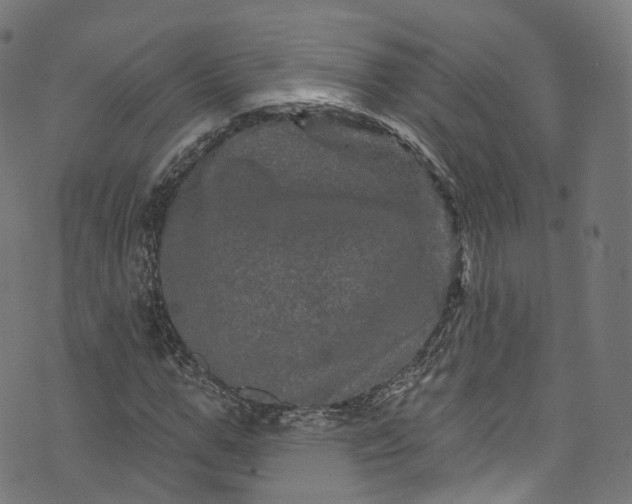 X0000073730967200608171225