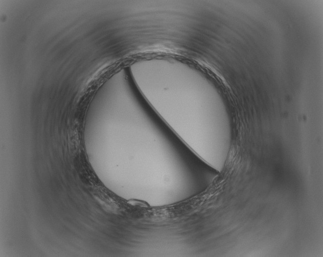 X0000073730968200608171224