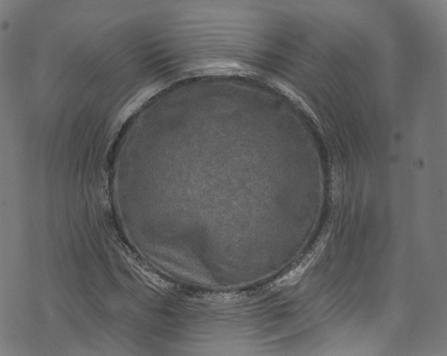 X0000073730970200608171224