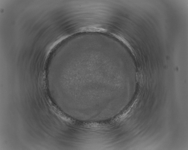 X0000073730971200608171224