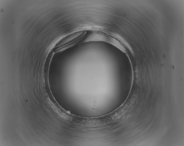 X0000073730972200608171224