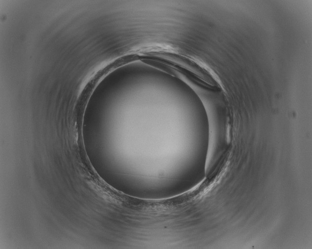 X0000073730973200608171224