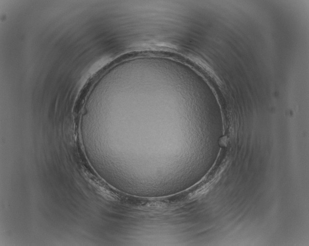 X0000073730974200608171224