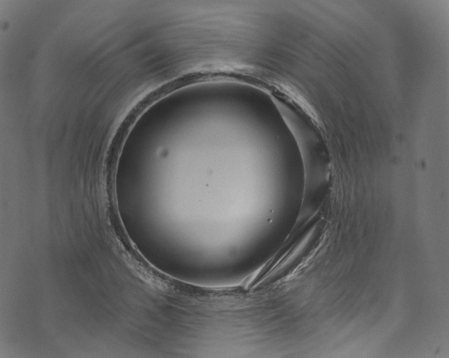 X0000073730976200608171224