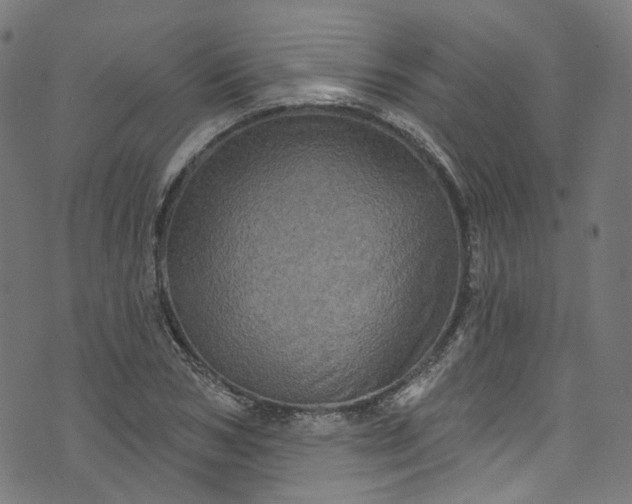 X0000073730978200608171224