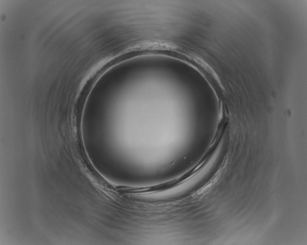 X0000073730981200608171224