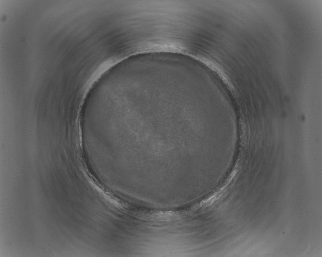 X0000073730982200608171224