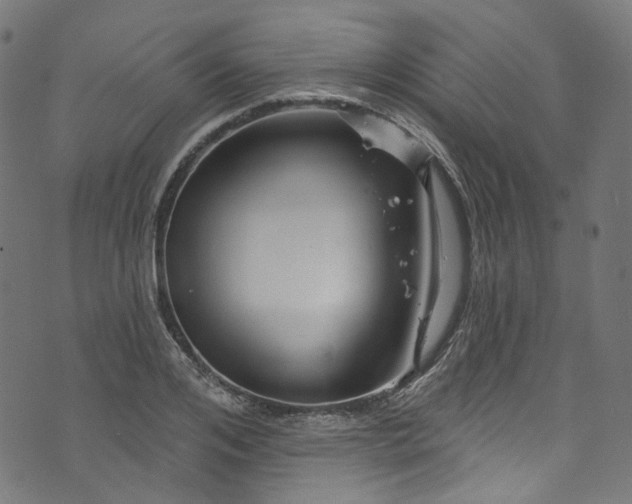 X0000073730984200608171224